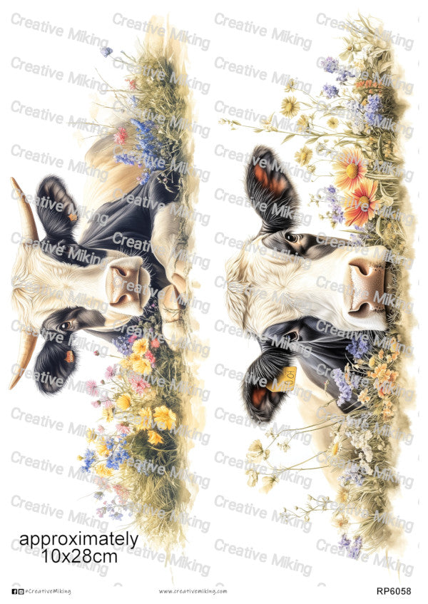 RP6058
