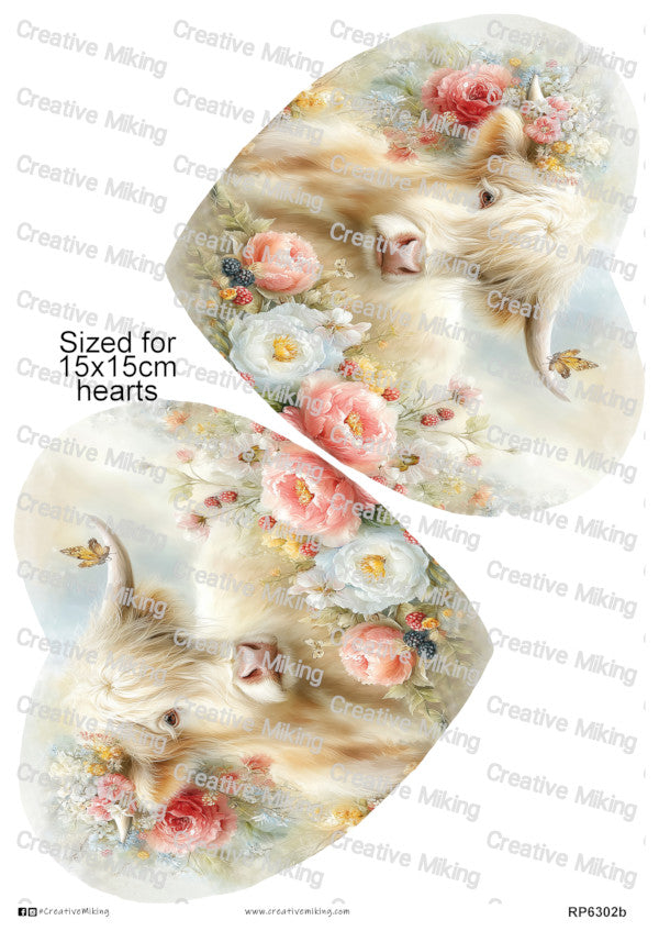 RP6302b