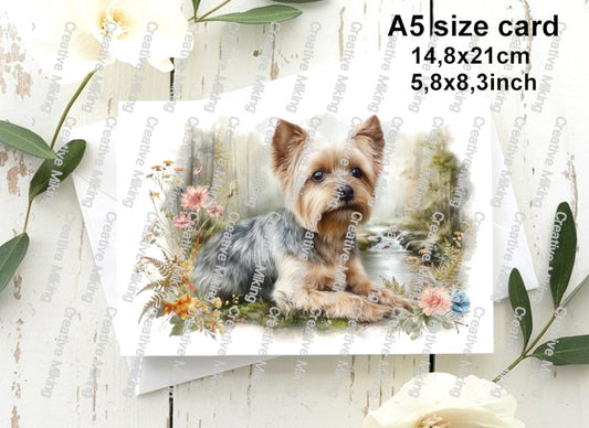 RP6908 - Yorkshire Terrier