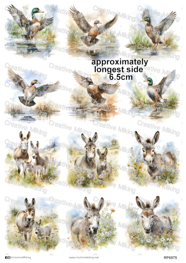 RP6975 - Donkey & Duck