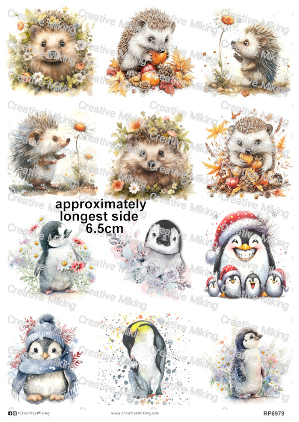 RP6979 - Hedgehogs & Penguins