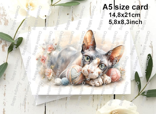 RP6998 - Sphynx Cat