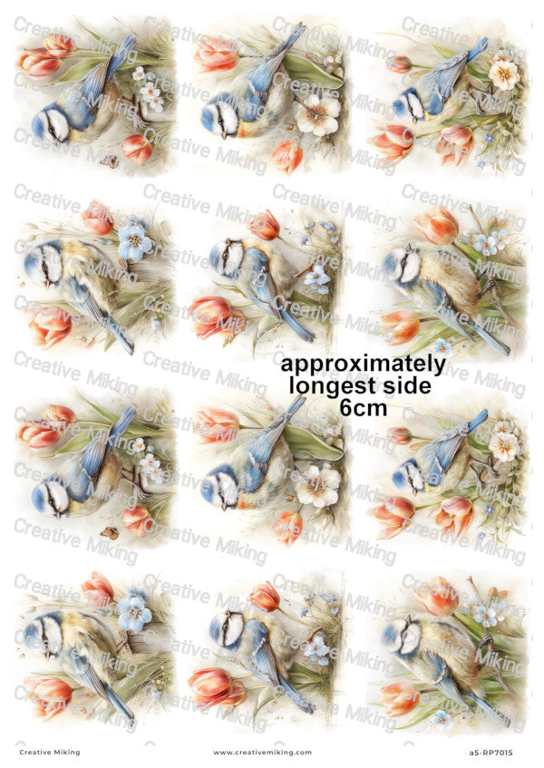 Blue Tit Bird With Spring Flowers Decoupage Rice Paper | RP7015