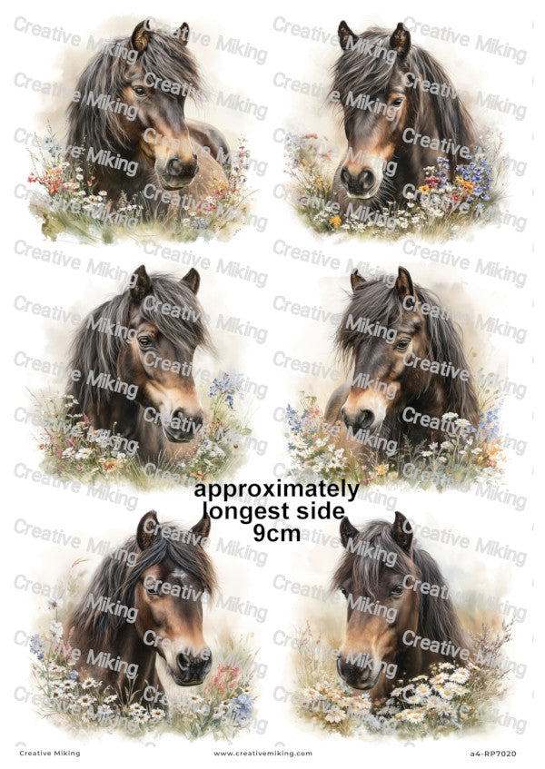 Dartmoor Pony Decoupage Paper | RP7020