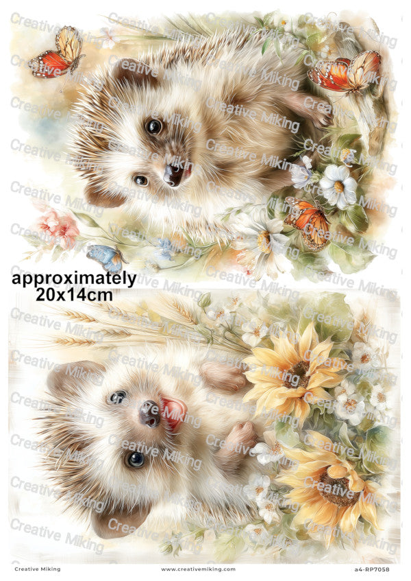 Hedgehog With Flowers And Butterflies Decoupage Paper | RP7058