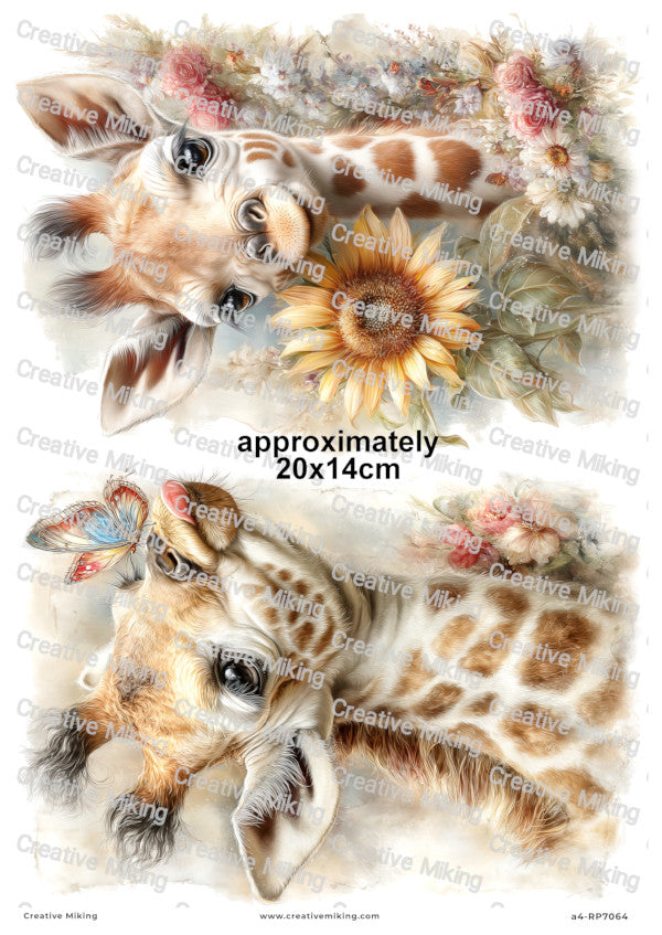 Baby Giraffe With Flowers Decoupage Paper | RP7064