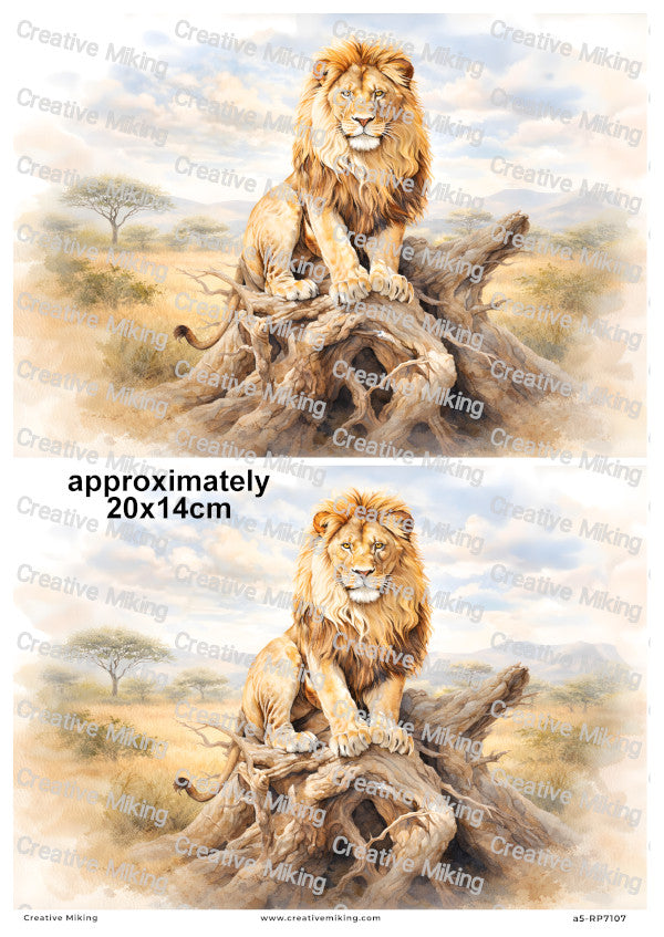 African Lion Landscape Decoupage Paper | RP7107