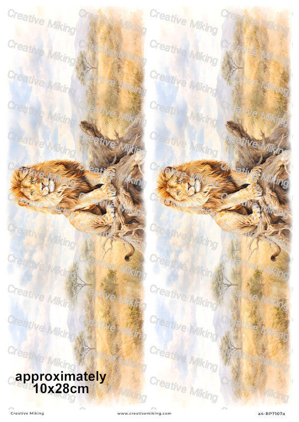 African Lion Landscape Decoupage Paper | RP7107a
