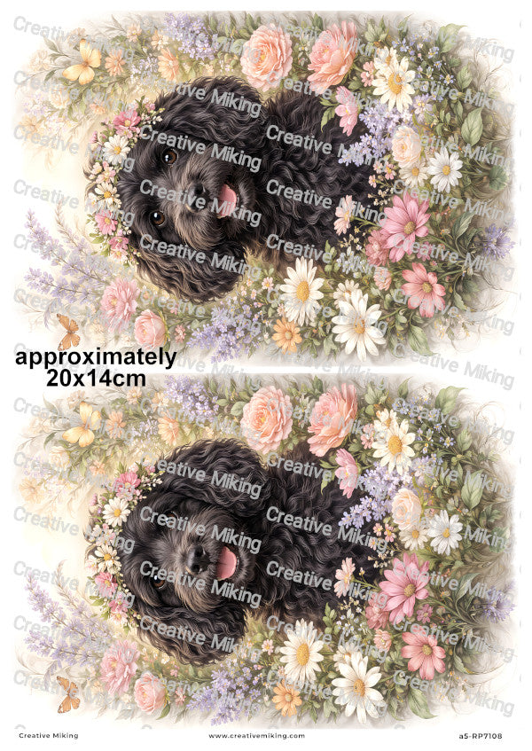 Cockapoo Dog Decoupage Paper | RP7108