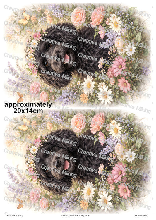 Cockapoo Dog Decoupage Paper | RP7108