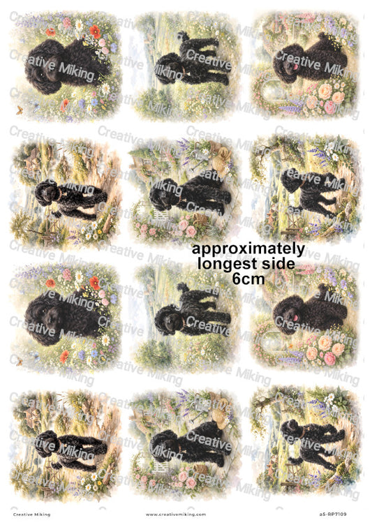 Cockapoo Dog Decoupage Rice Paper | RP7109