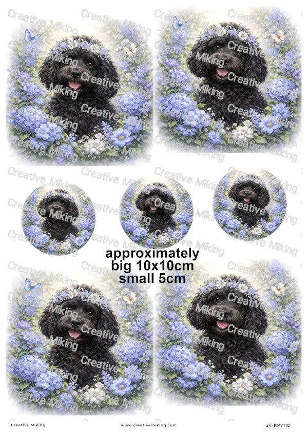 Cockapoo Dog Decoupage Paper | RP7110