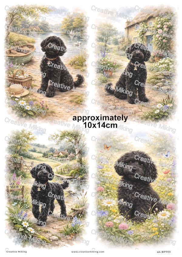 Cockapoo Dog Decoupage Paper | RP7111