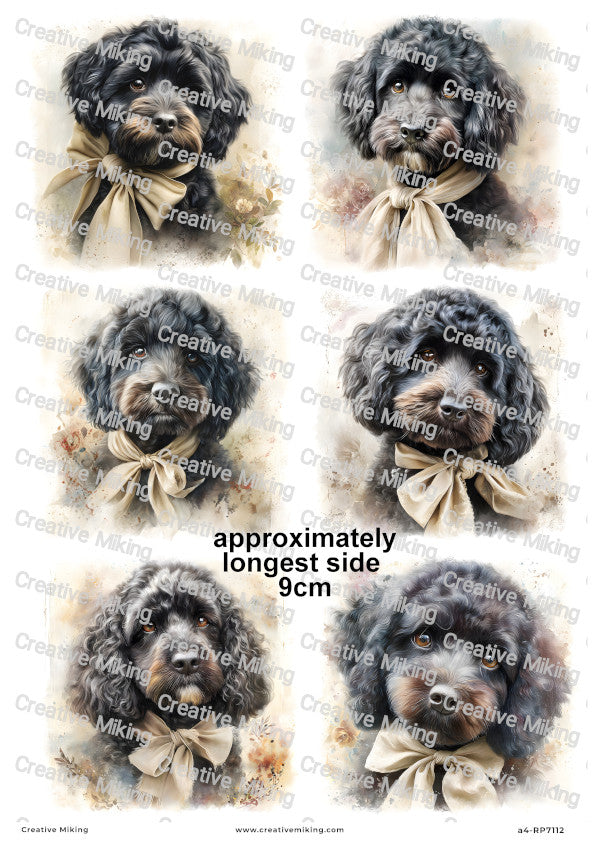 Cockapoo Dog Decoupage Paper | RP7112