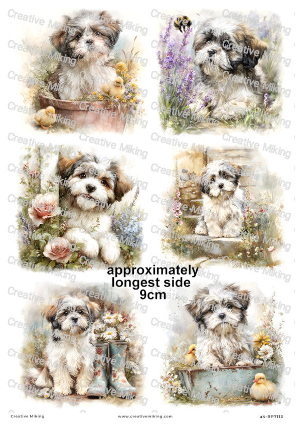 Shih Tzu Dog Decoupage Paper | RP7113