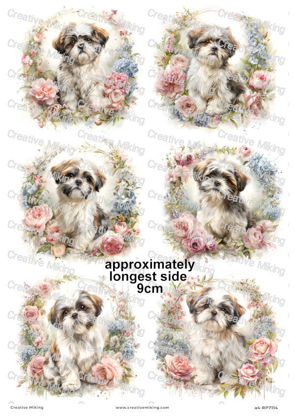 Shih Tzu Dog Decoupage Paper | RP7114