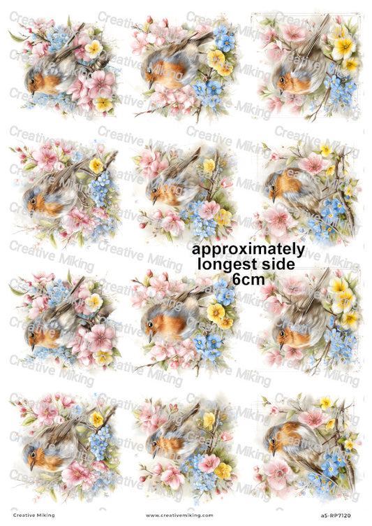 Robin Bird With Spring Flowers Decoupage Rice Paper | RP7120