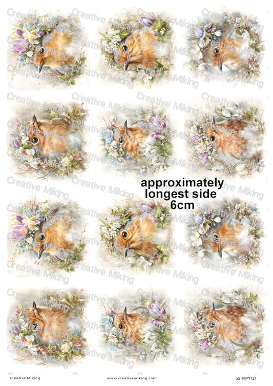 Robin Bird With Spring Flowers Decoupage Rice Paper | RP7121