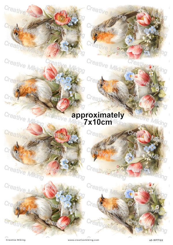 Robin Bird With Spring Flowers Decoupage Rice Paper | RP7122