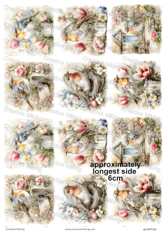 Robin Bird With Spring Flowers Decoupage Rice Paper | RP7123