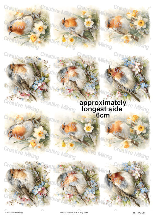 Robin Bird With Spring Flowers Decoupage Rice Paper | RP7124