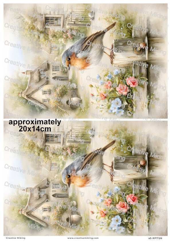 Robin Bird In Cottage Garden Decoupage Rice Paper | RP7126