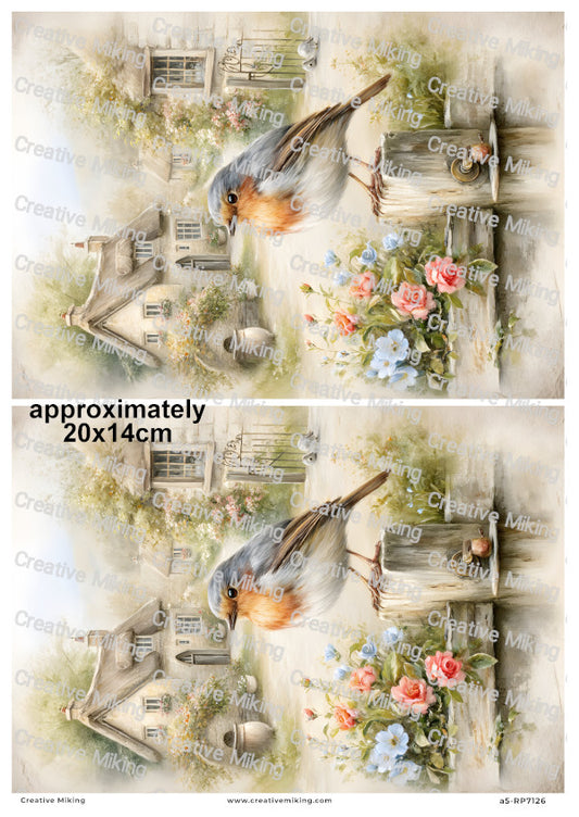 Robin Bird In Cottage Garden Decoupage Rice Paper | RP7126