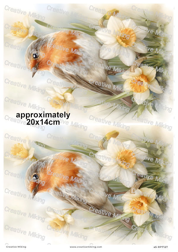 Robin Bird With Daffodils Decoupage Rice Paper | RP7127