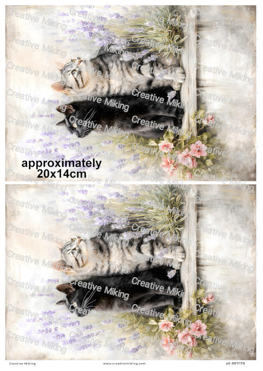 Black And Tabby Cats With Lavender Decoupage Rice Paper | RP7179