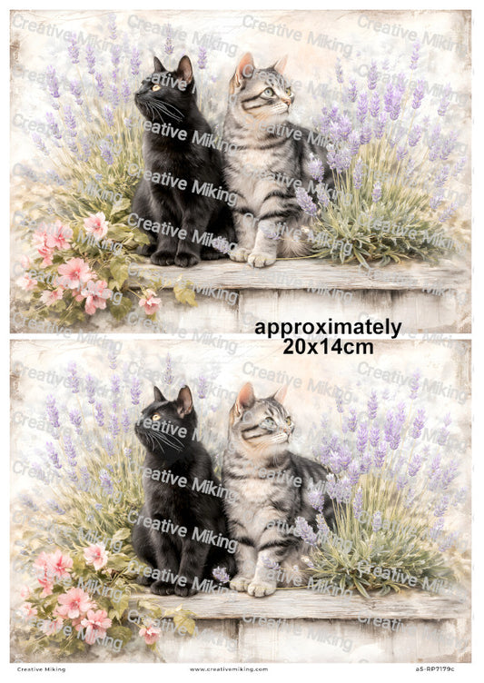 Black And Tabby Cats With Lavender Decoupage Rice Paper | RP7179c