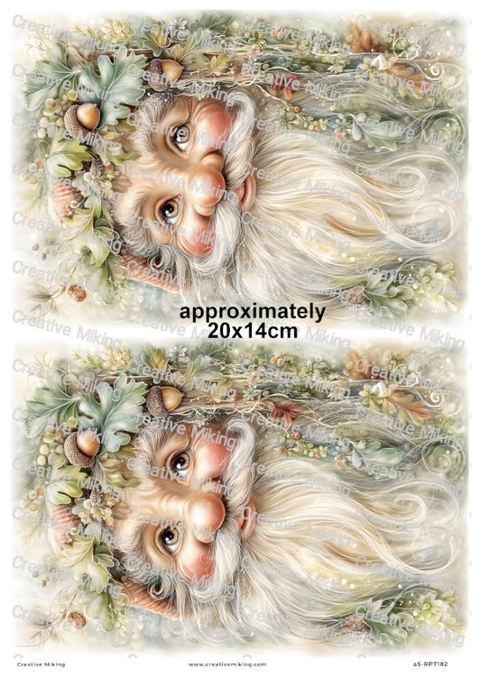 Oak Gnome Decoupage Rice Paper | RP7182