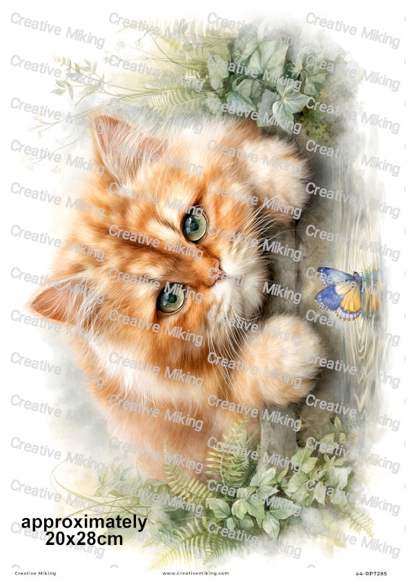 Persian Cat Decoupage Rice Paper | RP7285