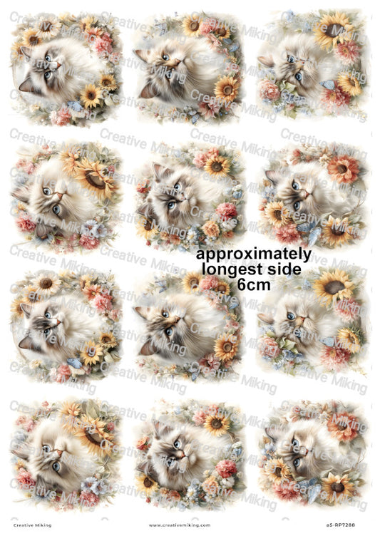 Persian Cat Decoupage Rice Paper | RP7288