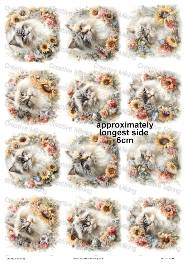 Persian Cat Decoupage Rice Paper | RP7288