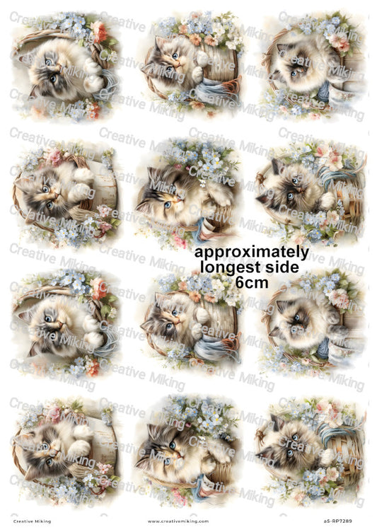 Persian Cat Decoupage Rice Paper | RP7289