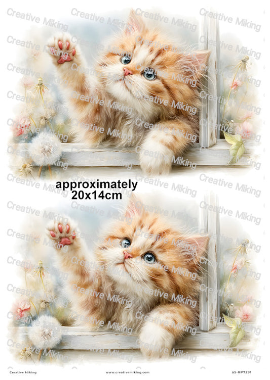 Persian Cat Decoupage Rice Paper | RP7291