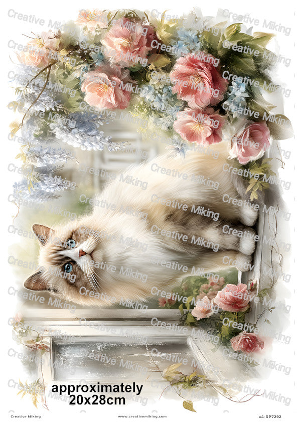 Persian Cat Decoupage Rice Paper | RP7292