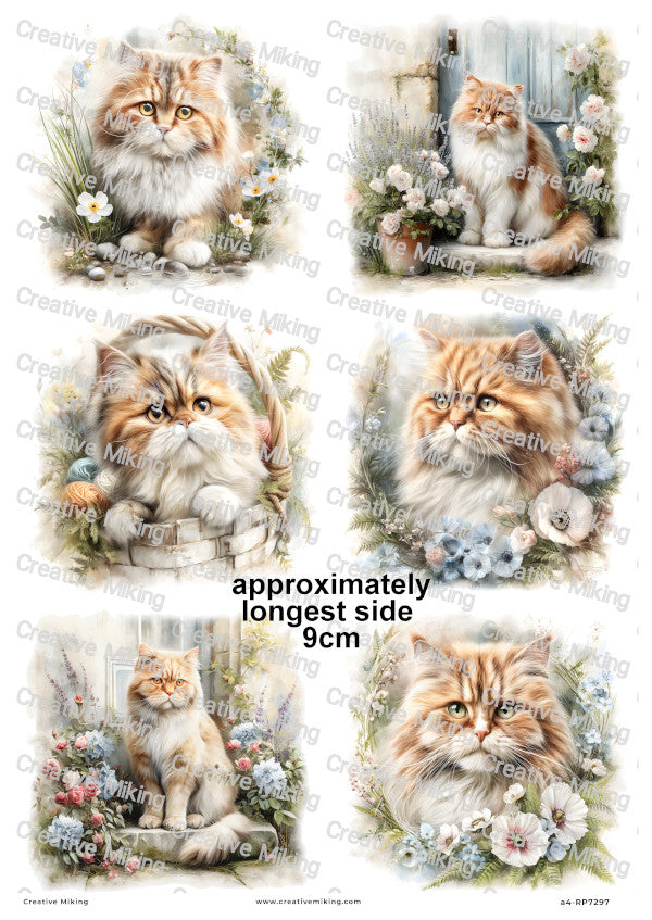 Persian Cat Decoupage Rice Paper | RP7297