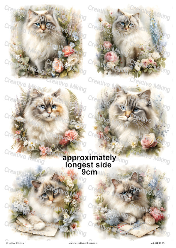 Persian Cat Decoupage Rice Paper | RP7299