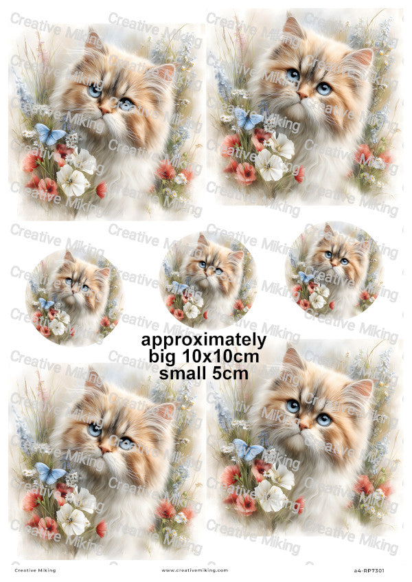 Persian Cat Decoupage Rice Paper | RP7301