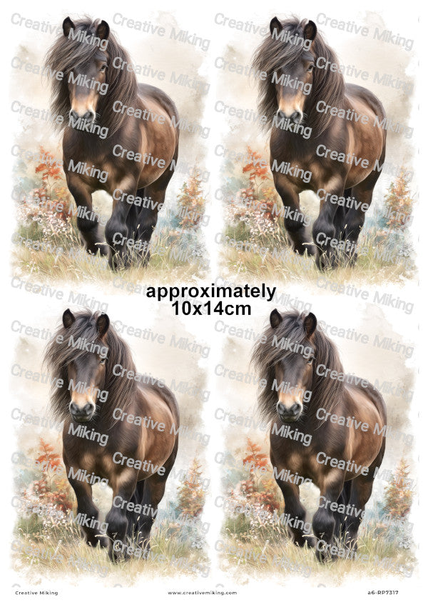 Dartmoor Pony Decoupage Rice Paper | RP7317