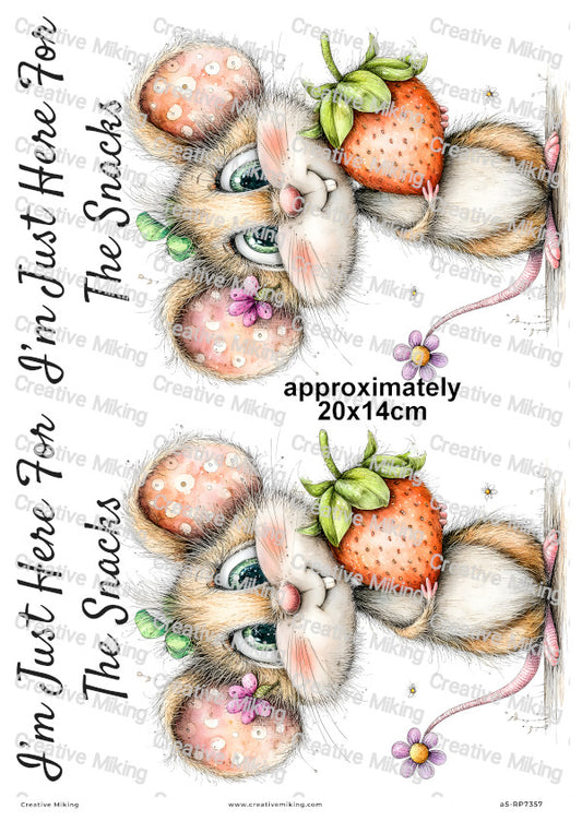 Mouse With Strawberry Funny Decoupage Rice Paper | RP7357