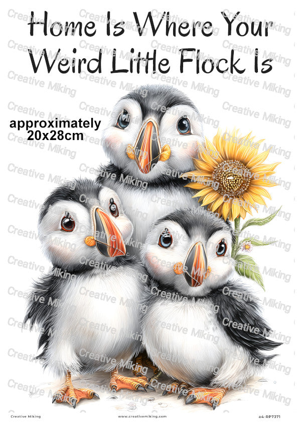 Puffin Family Funny Decoupage Rice Paper | RP7371