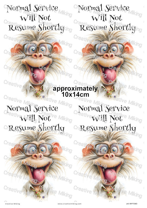 Silly Monkey Funny Decoupage Rice Paper | RP7383