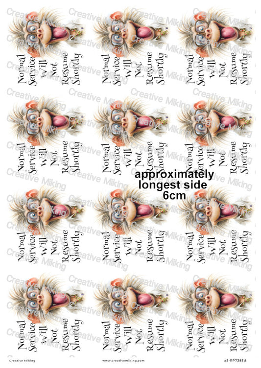 Silly Monkey Funny Decoupage Rice Paper | RP7383d