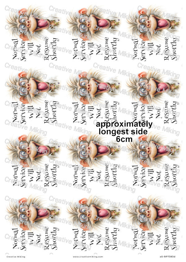 Silly Monkey Funny Decoupage Rice Paper | RP7383d