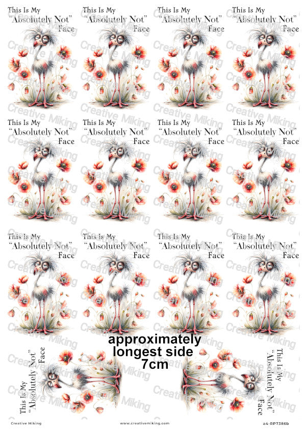 Grumpy Bird With Poppies Funny Decoupage Rice Paper | RP7386b