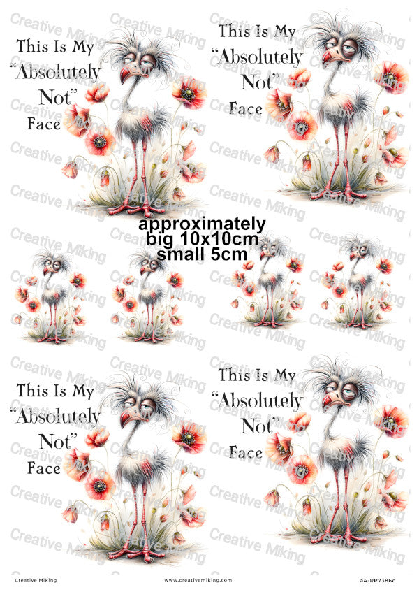 Grumpy Bird With Poppies Funny Decoupage Rice Paper | RP7386c