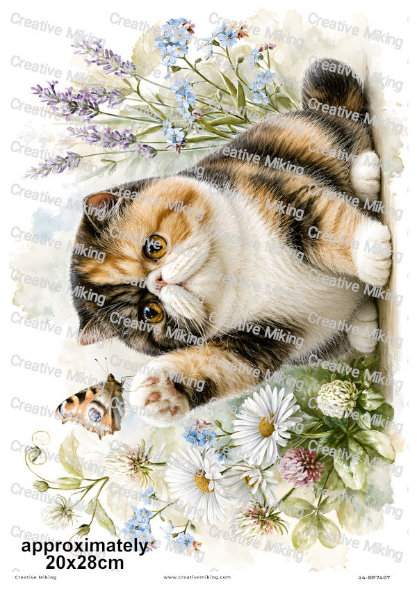 Exotic Shorthair Cat Decoupage Rice Paper | RP7407