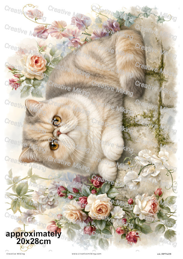Exotic Shorthair Cat Decoupage Rice Paper | RP7409